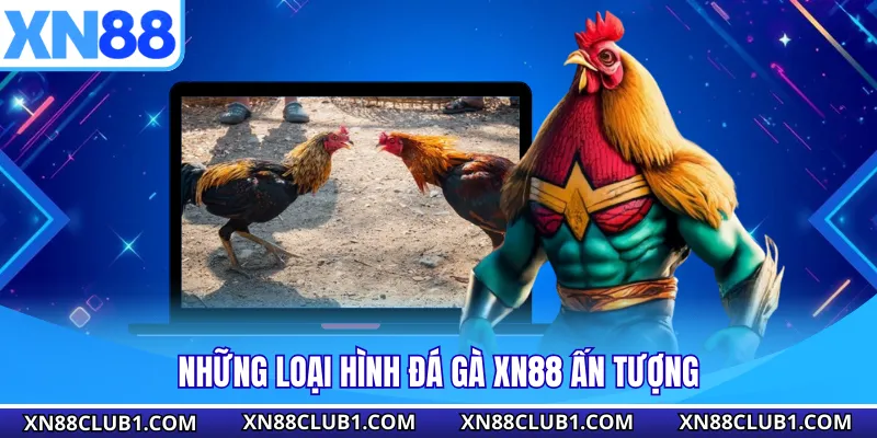 Những loại hình đá gà XN88 ấn tượng 